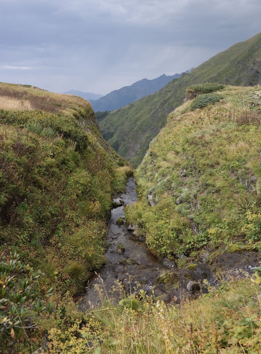 Хребет Бзерпи, image of landscape/habitat.