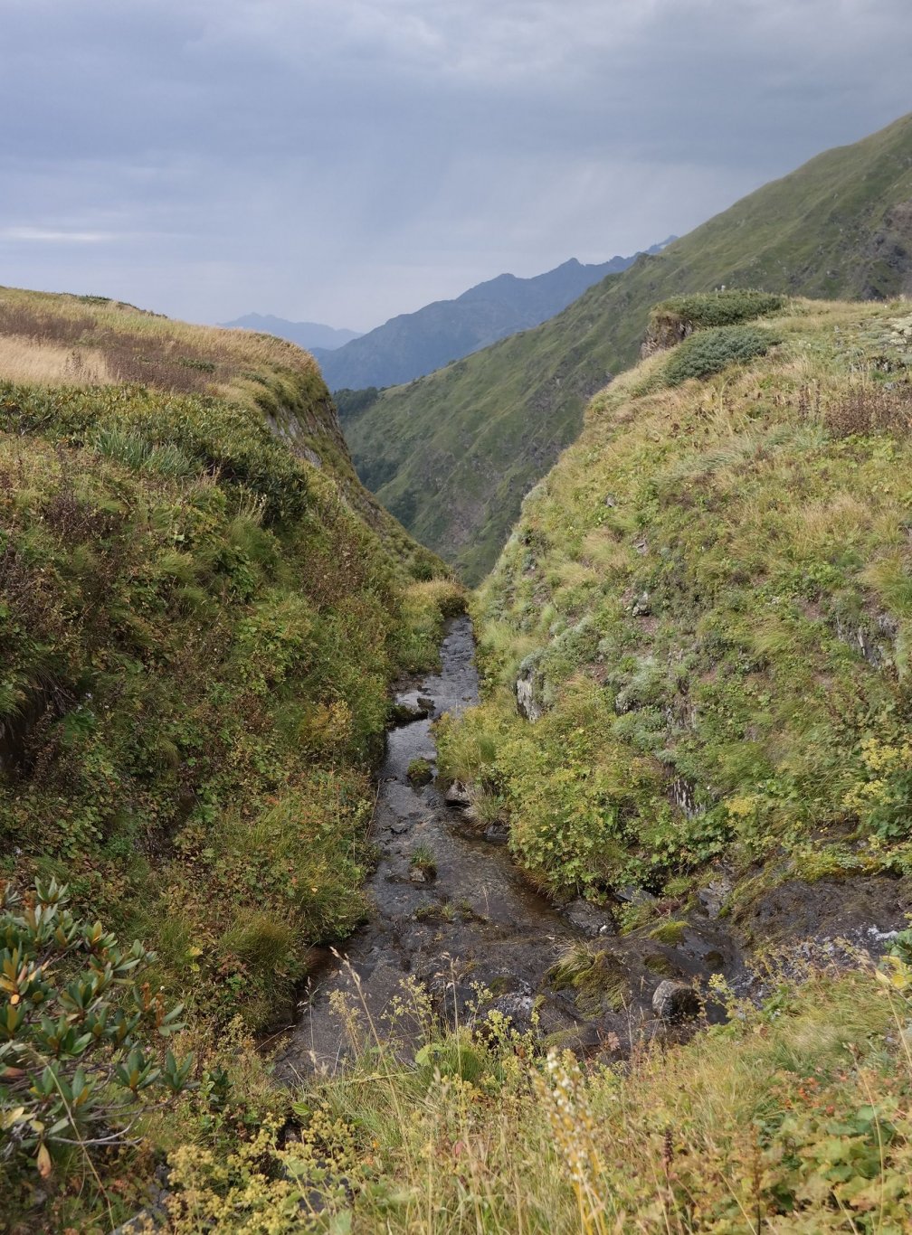 Хребет Бзерпи, image of landscape/habitat.