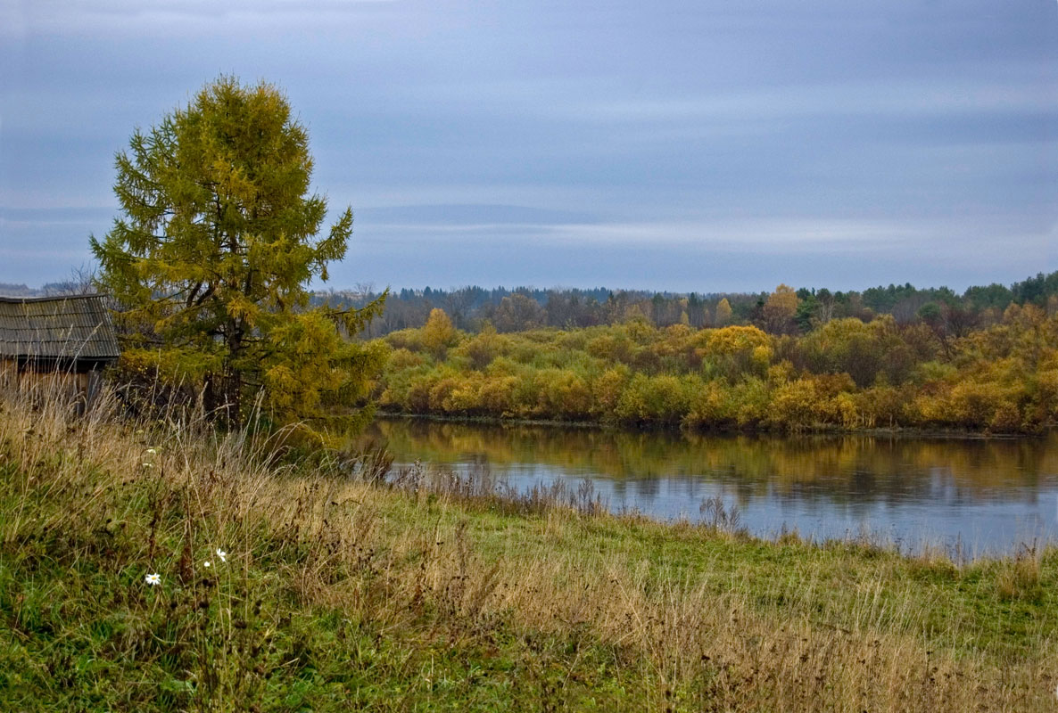 Окрестности села Молёбка, изображение ландшафта.