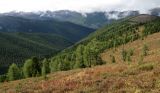Image of landscape