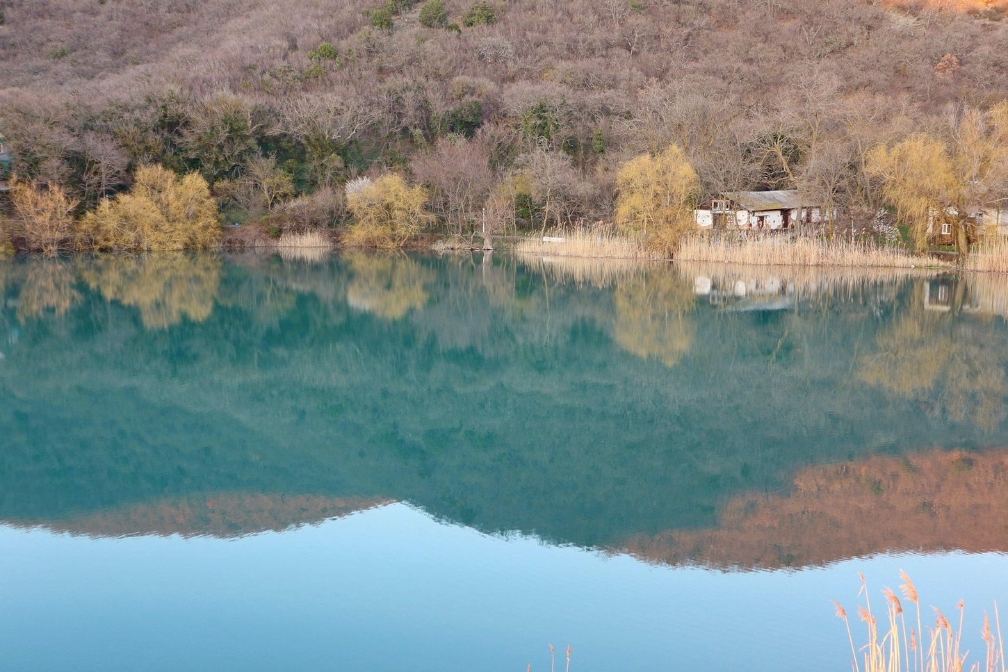 Лиманчик, image of landscape/habitat.