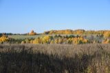 Урочище Сынково и окрестности, image of landscape/habitat.
