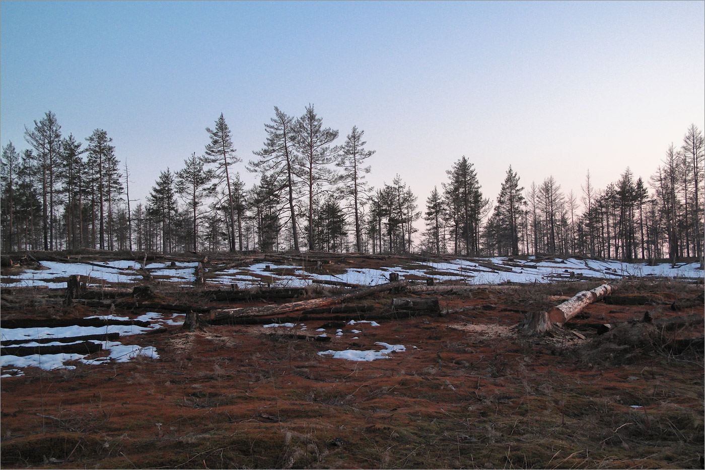 Нижняя Луга, image of landscape/habitat.