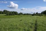 Image of landscape