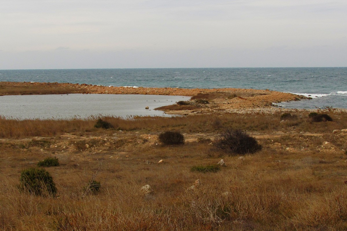 Гераклейский полуостров (запад), image of landscape/habitat.