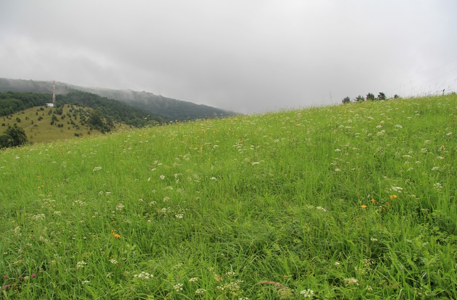 Словацкий карст, image of landscape/habitat.