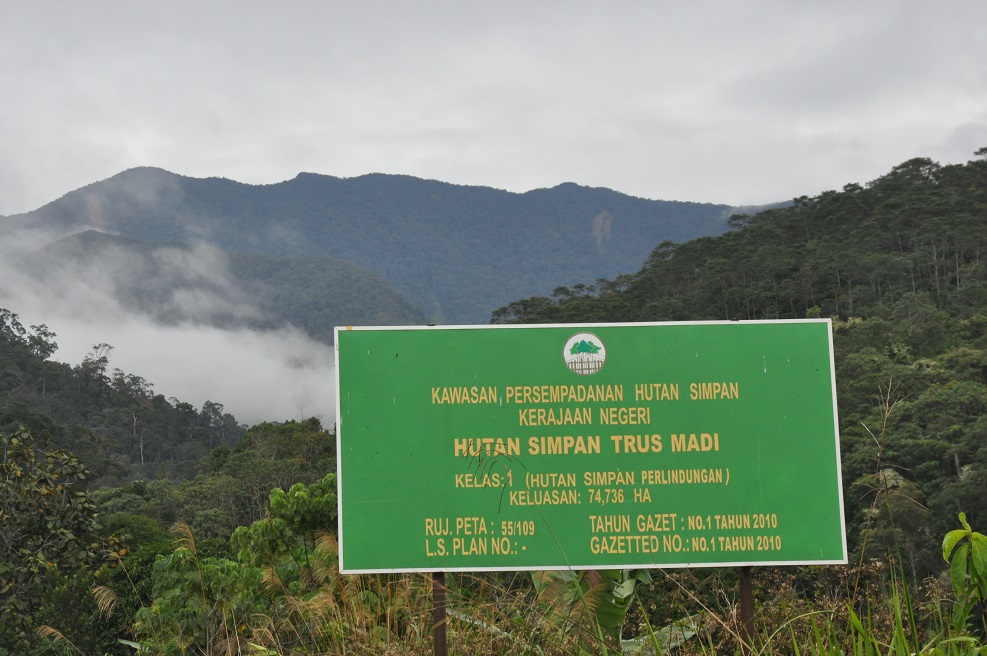 Гора Трас-Мади, image of landscape/habitat.