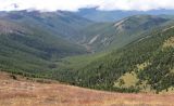 Image of landscape