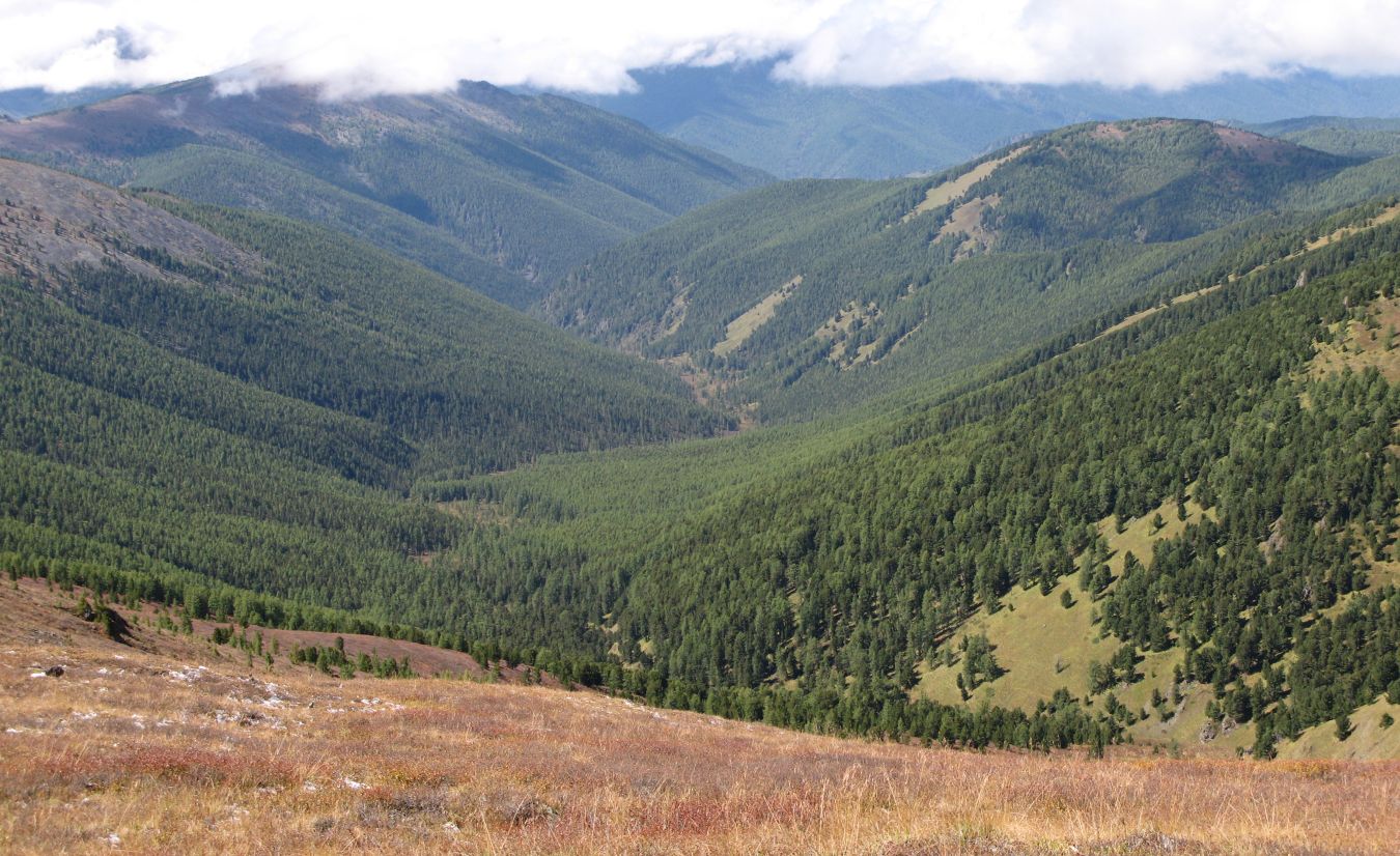 Водораздел р. Аккем и р. Аргут, image of landscape/habitat.