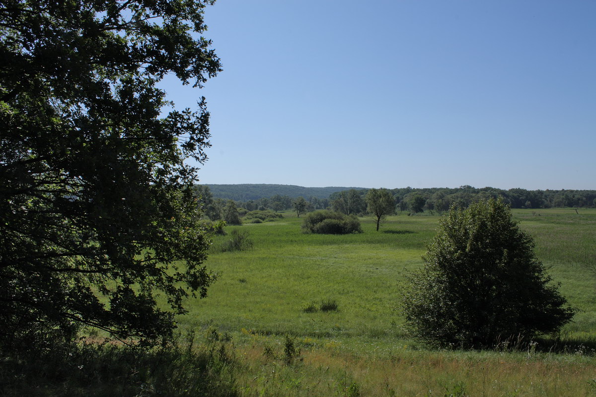 Пойма Ворсклы, image of landscape/habitat.