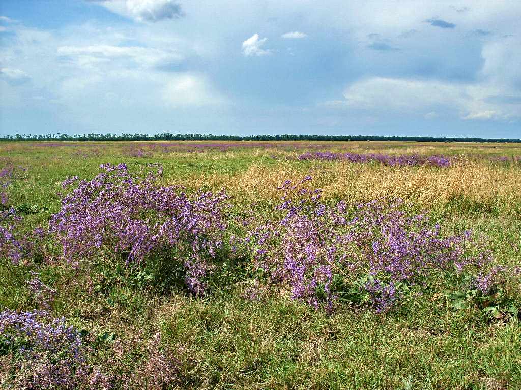 Кугей и его окрестности, image of landscape/habitat.