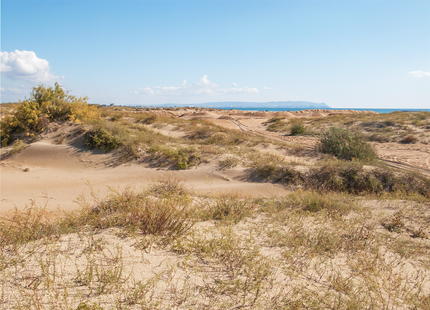 Витязевская коса, image of landscape/habitat.