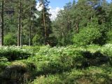 Цейское ущелье (средняя часть), image of landscape/habitat.