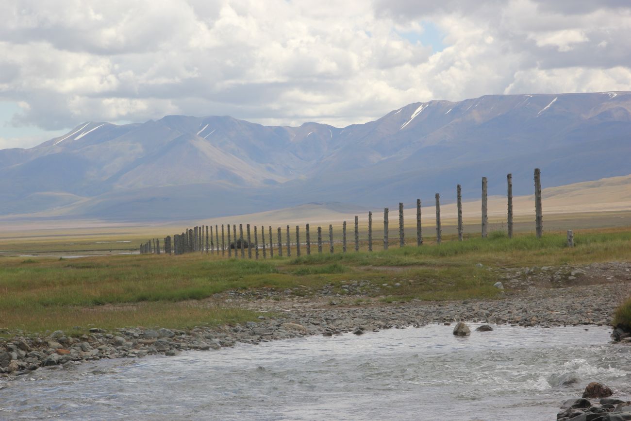 Окрестности реки Музды-Булак, image of landscape/habitat.