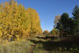 Урочище Сынково и окрестности, image of landscape/habitat.