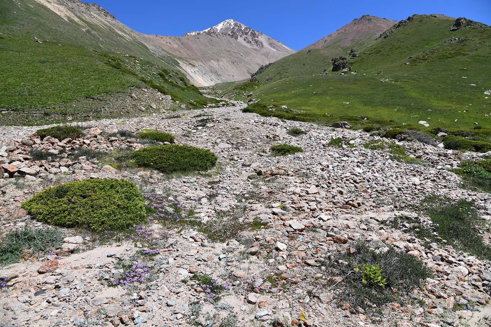 Большое Алматинское ущелье, image of landscape/habitat.