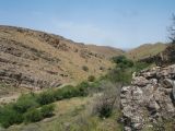 Image of landscape