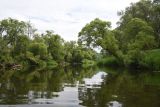 Окрестности урочища Вётлы, image of landscape/habitat.