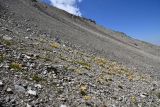 Image of landscape