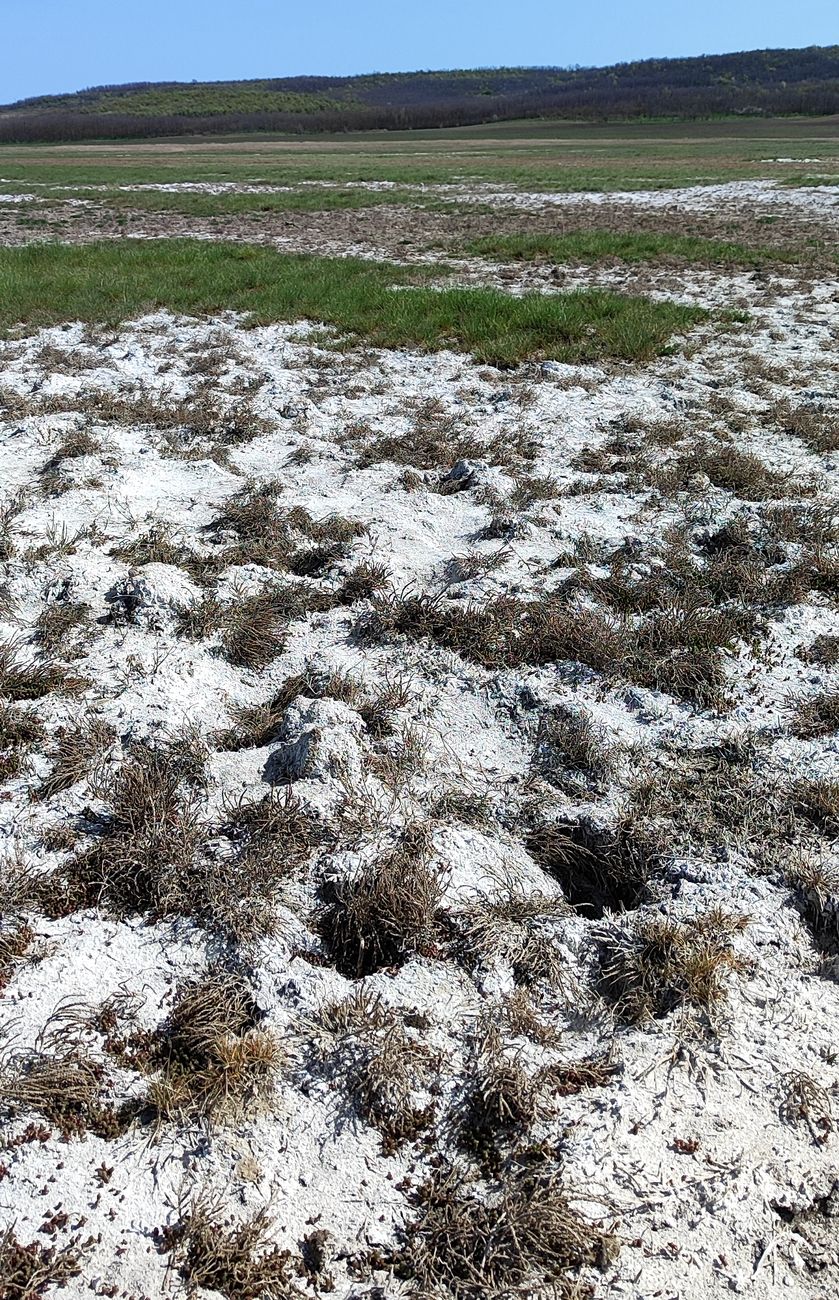 Жавгур, image of landscape/habitat.