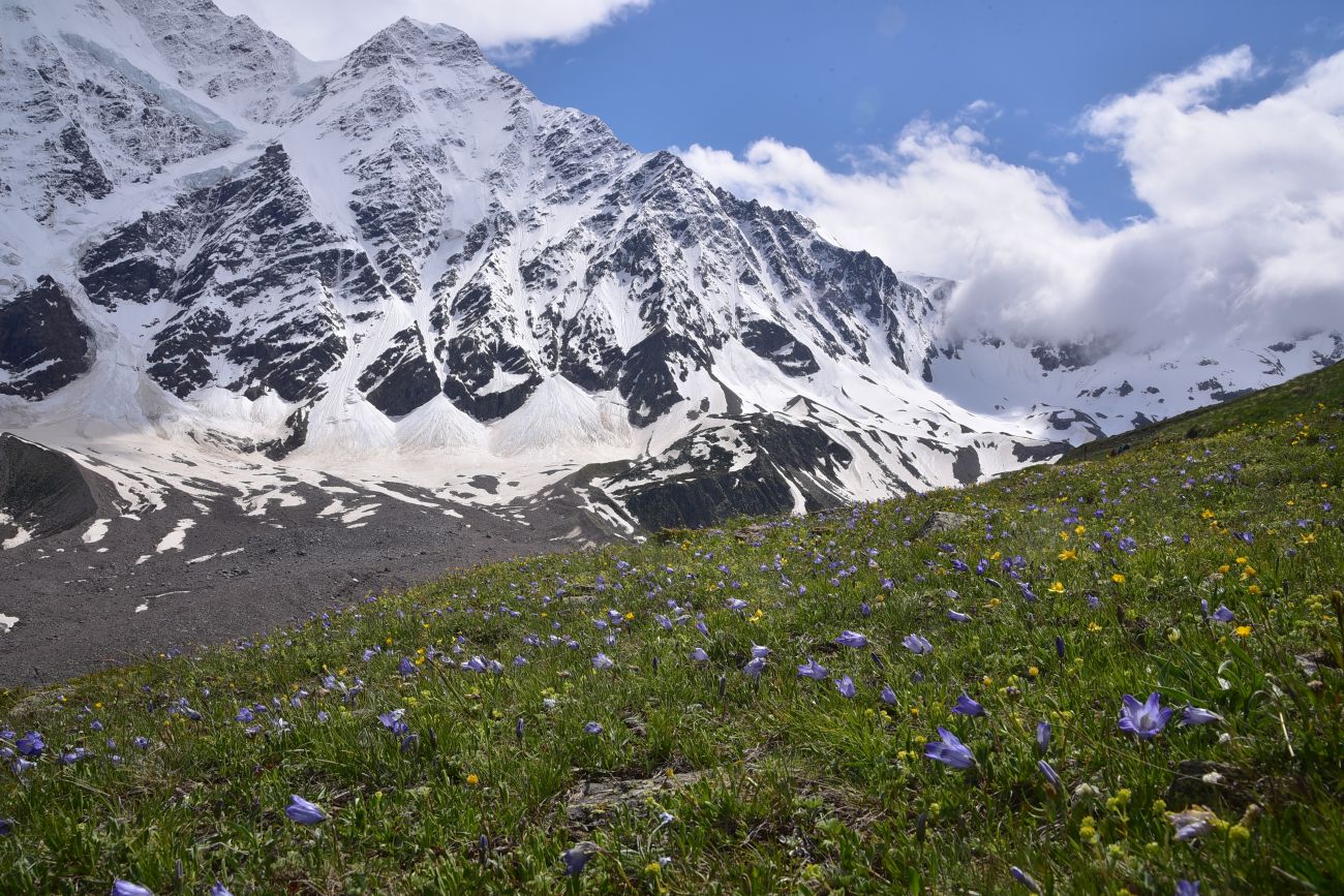 Гора Накратау, image of landscape/habitat.