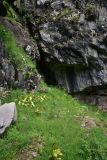 Окрестности монастыря Парехи, image of landscape/habitat.