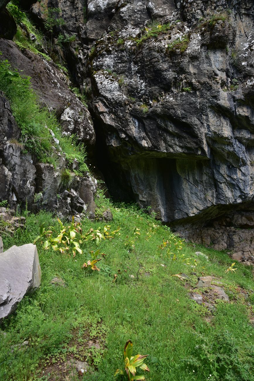 Окрестности монастыря Парехи, image of landscape/habitat.