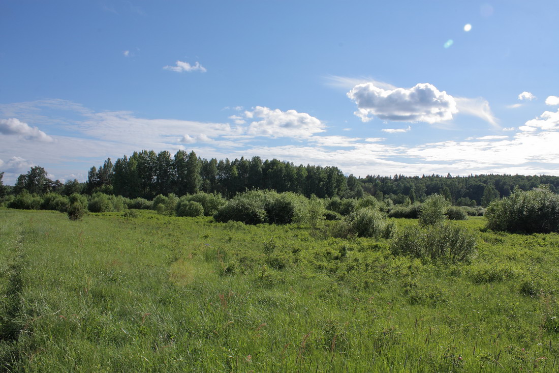 Окрестности Кемки, изображение ландшафта.