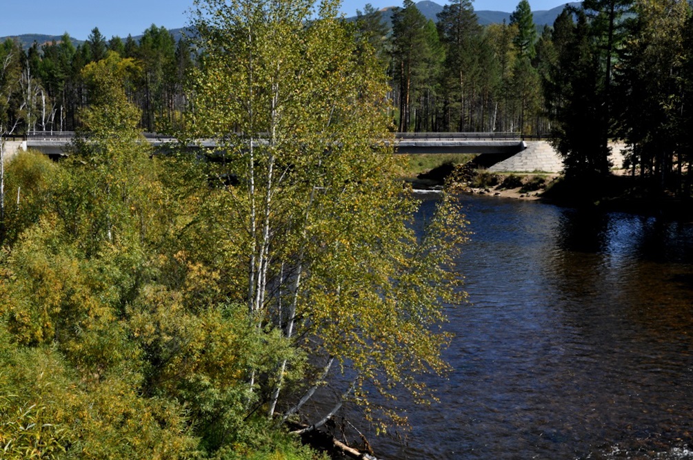 Река Хаим, image of landscape/habitat.