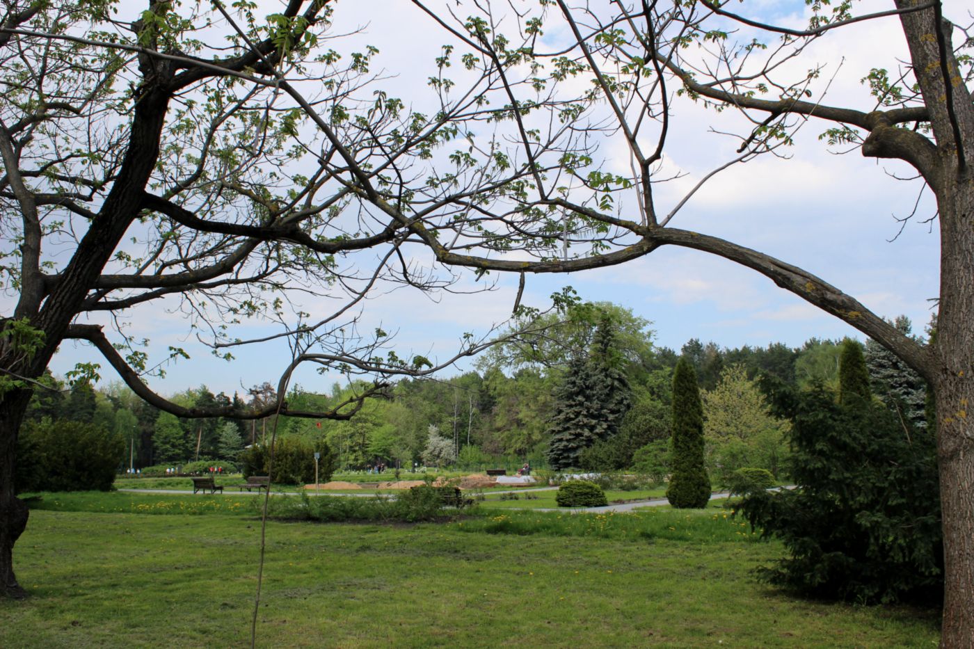 Минск, Ботанический сад, изображение ландшафта.