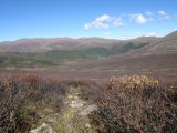 Image of landscape