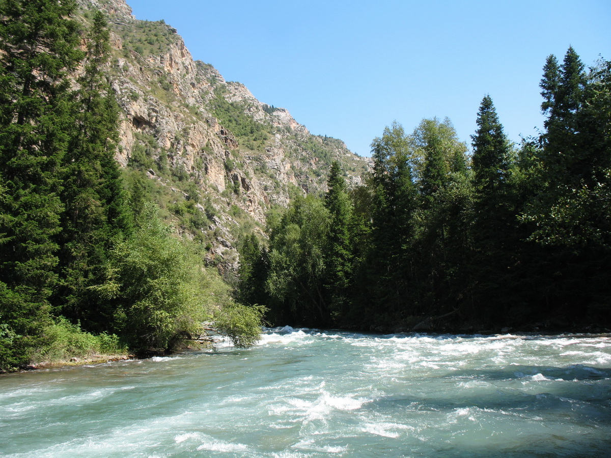 Ущелье реки Чичкан, изображение ландшафта.