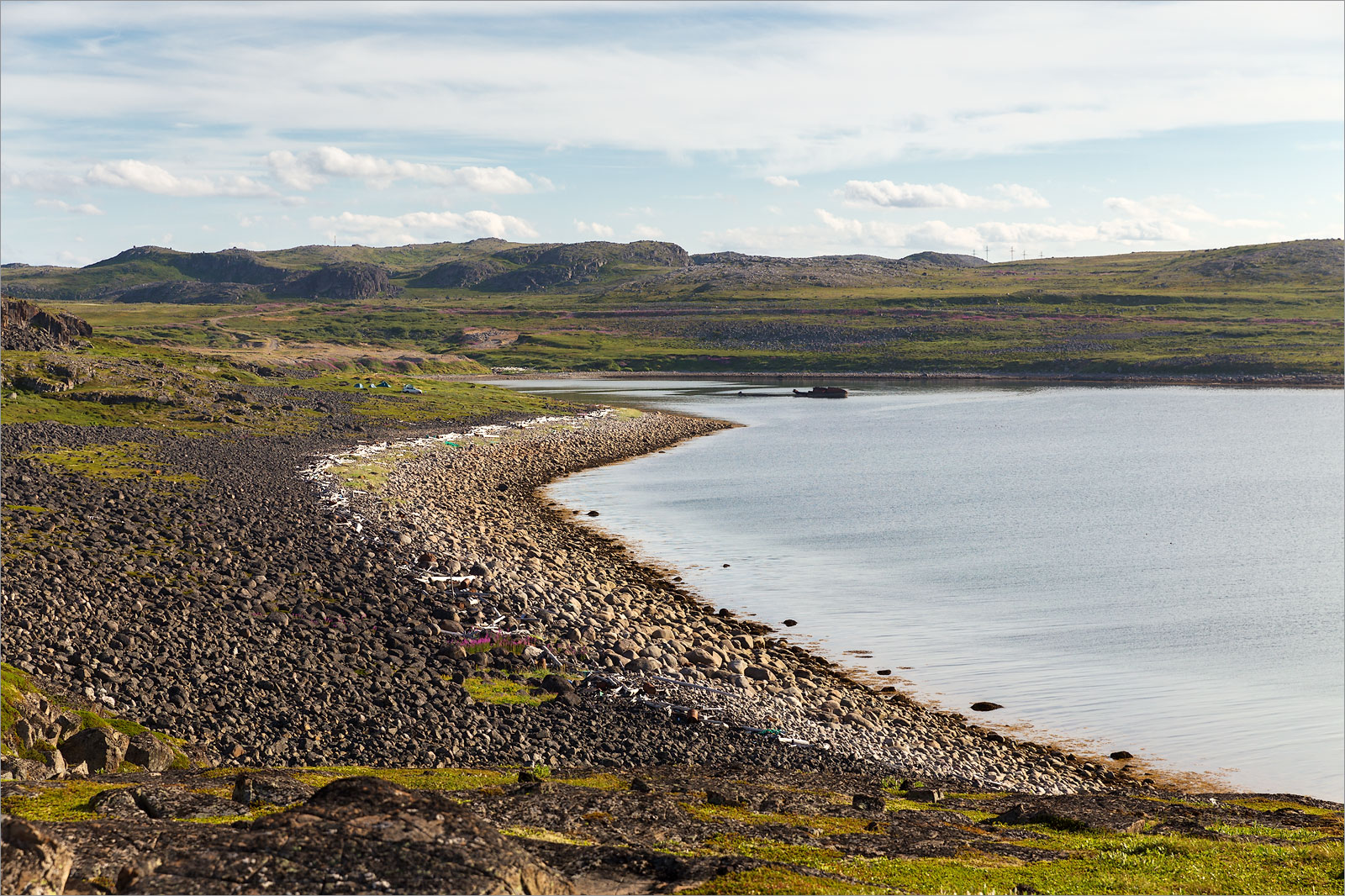 Дальние Зеленцы, image of landscape/habitat.