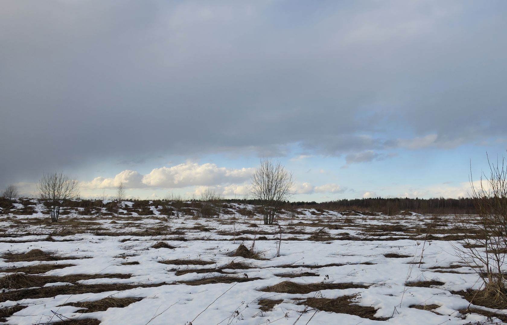 Ерденево, image of landscape/habitat.