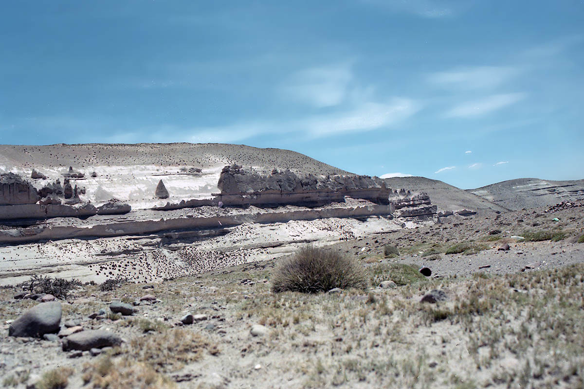 Окрестности вулкана Чачани, image of landscape/habitat.