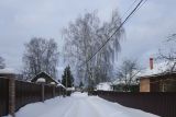 Лосино-Петровский и окрестности, image of landscape/habitat.