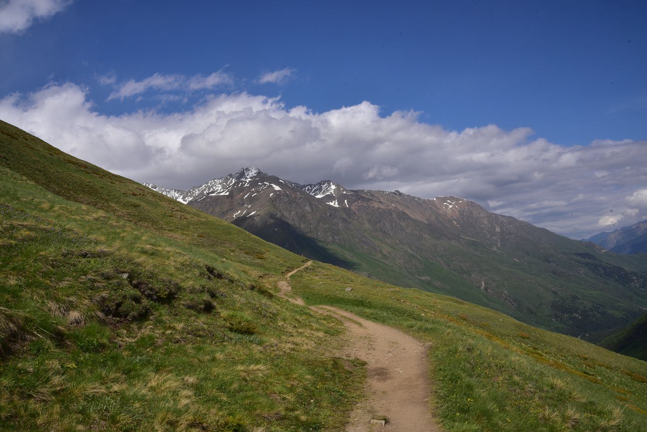 Восточный склон горы Чегет, image of landscape/habitat.