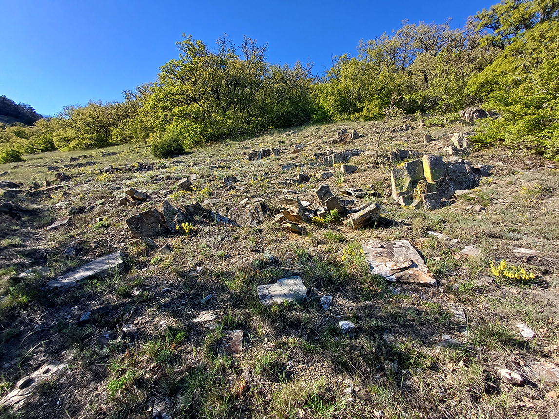 Хребет Токлук-Сырт, image of landscape/habitat.
