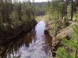 Окрестности города Новоуральска, изображение ландшафта.