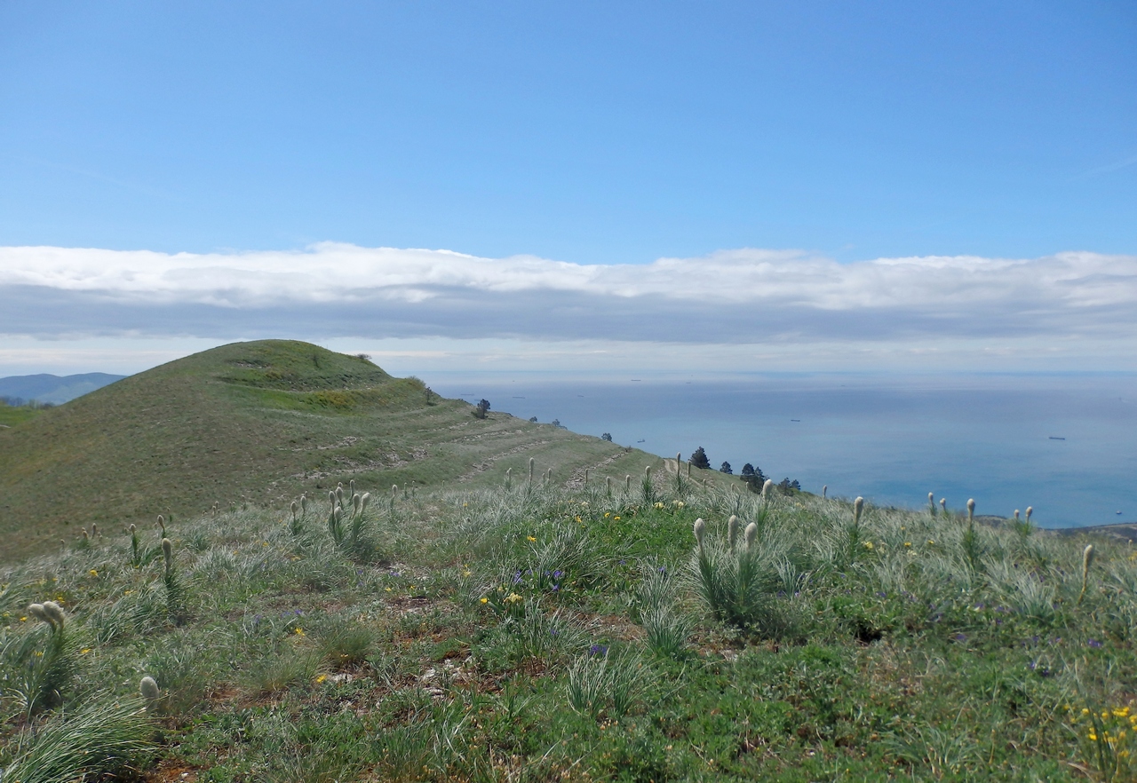 Отроги горы Совхозная, image of landscape/habitat.