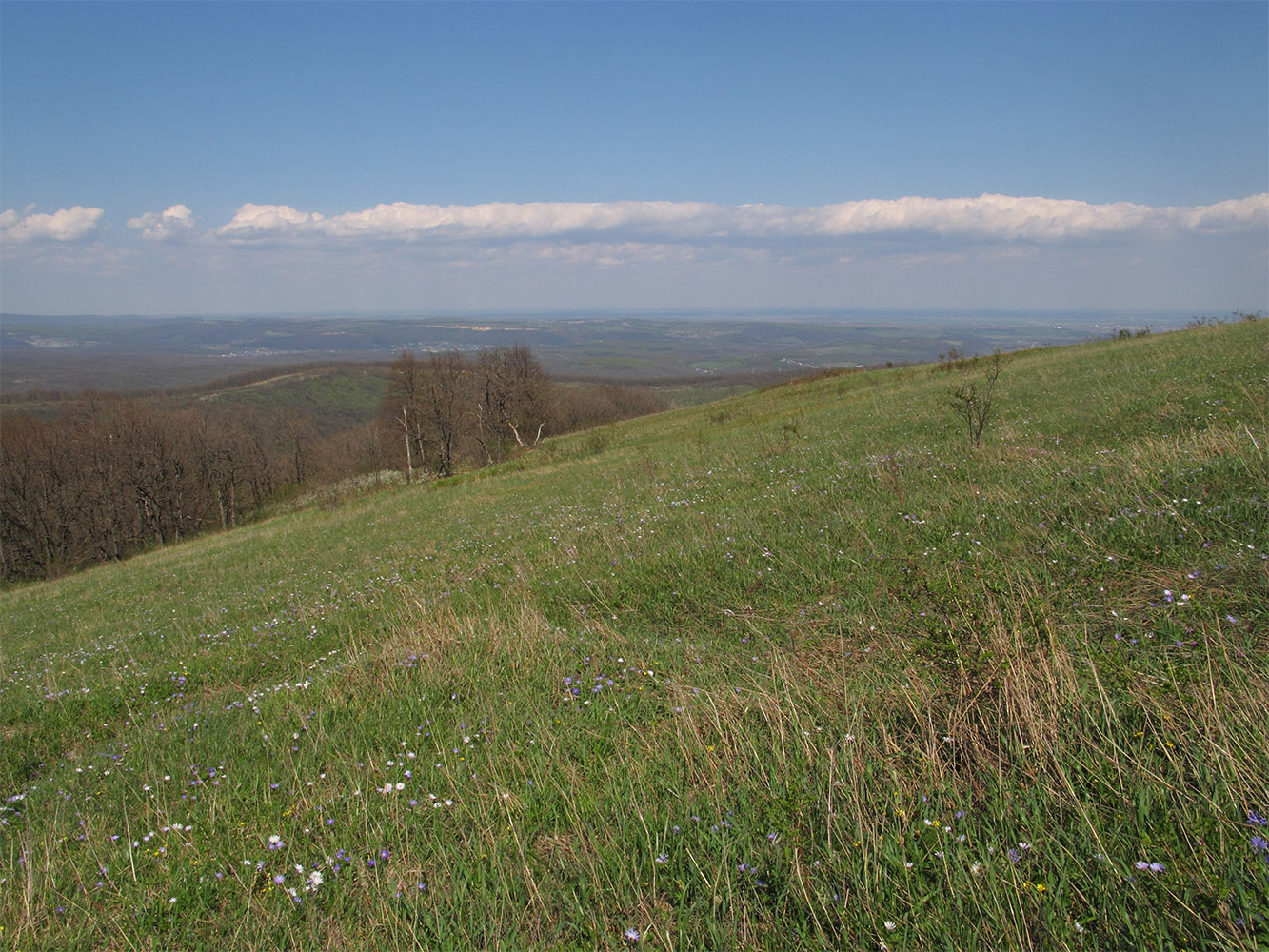 Гора Рябкова, image of landscape/habitat.