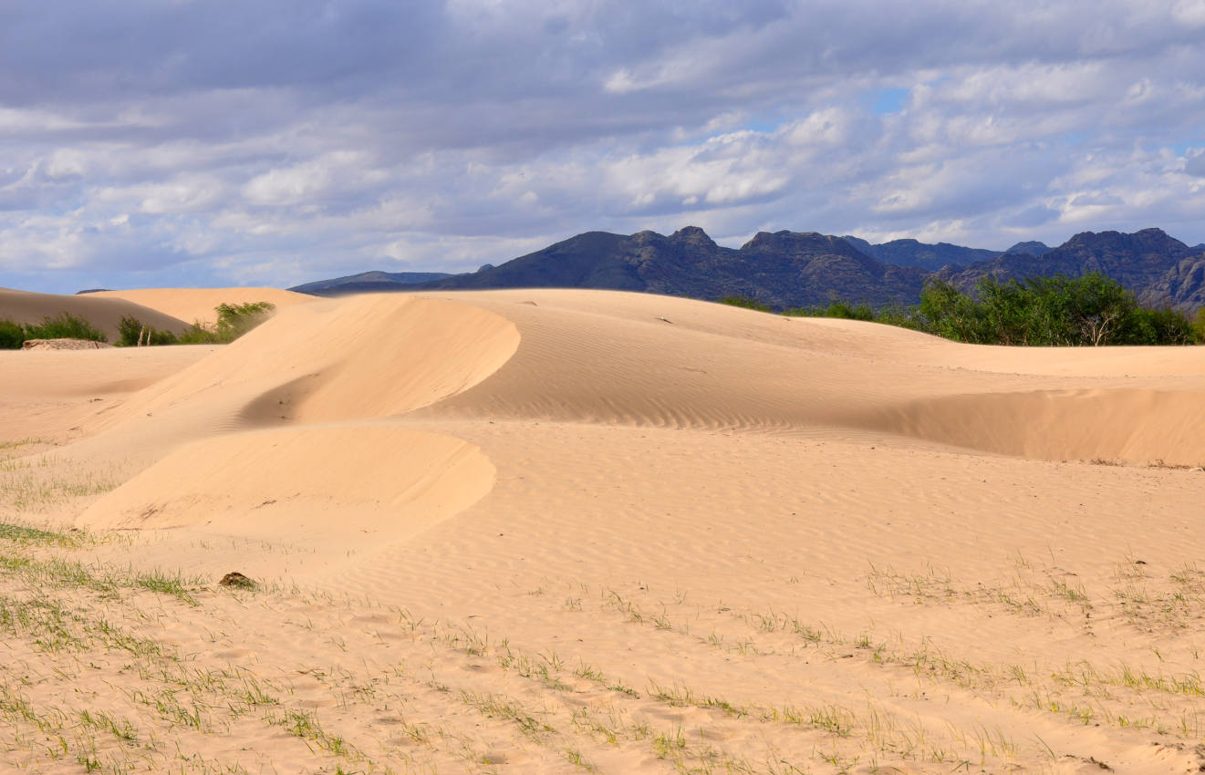 Дюны Элсэн Тасархай, image of landscape/habitat.