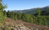 Image of landscape