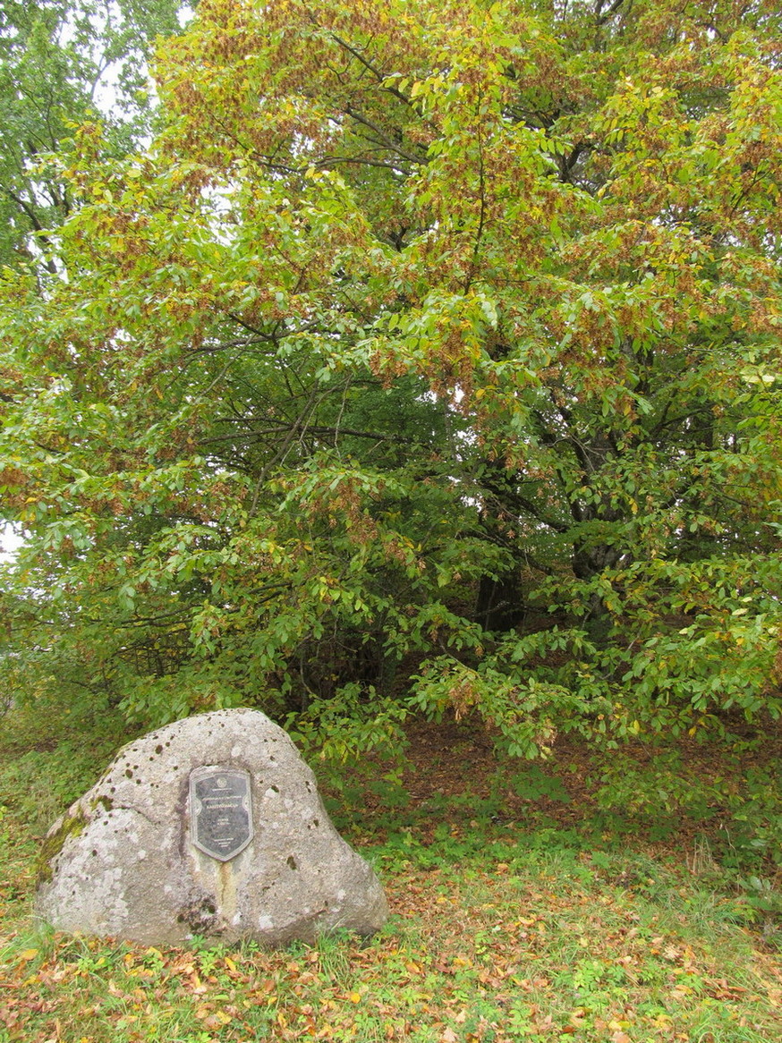 Кошелево, image of landscape/habitat.