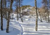 Окрестности села Рысакаево, изображение ландшафта.