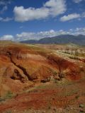 Чуйская степь, image of landscape/habitat.