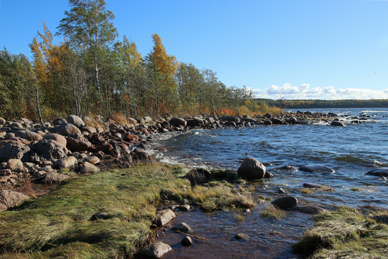 Шепелёвский маяк, image of landscape/habitat.