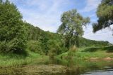 Окрестности устья ручья Исьма, image of landscape/habitat.
