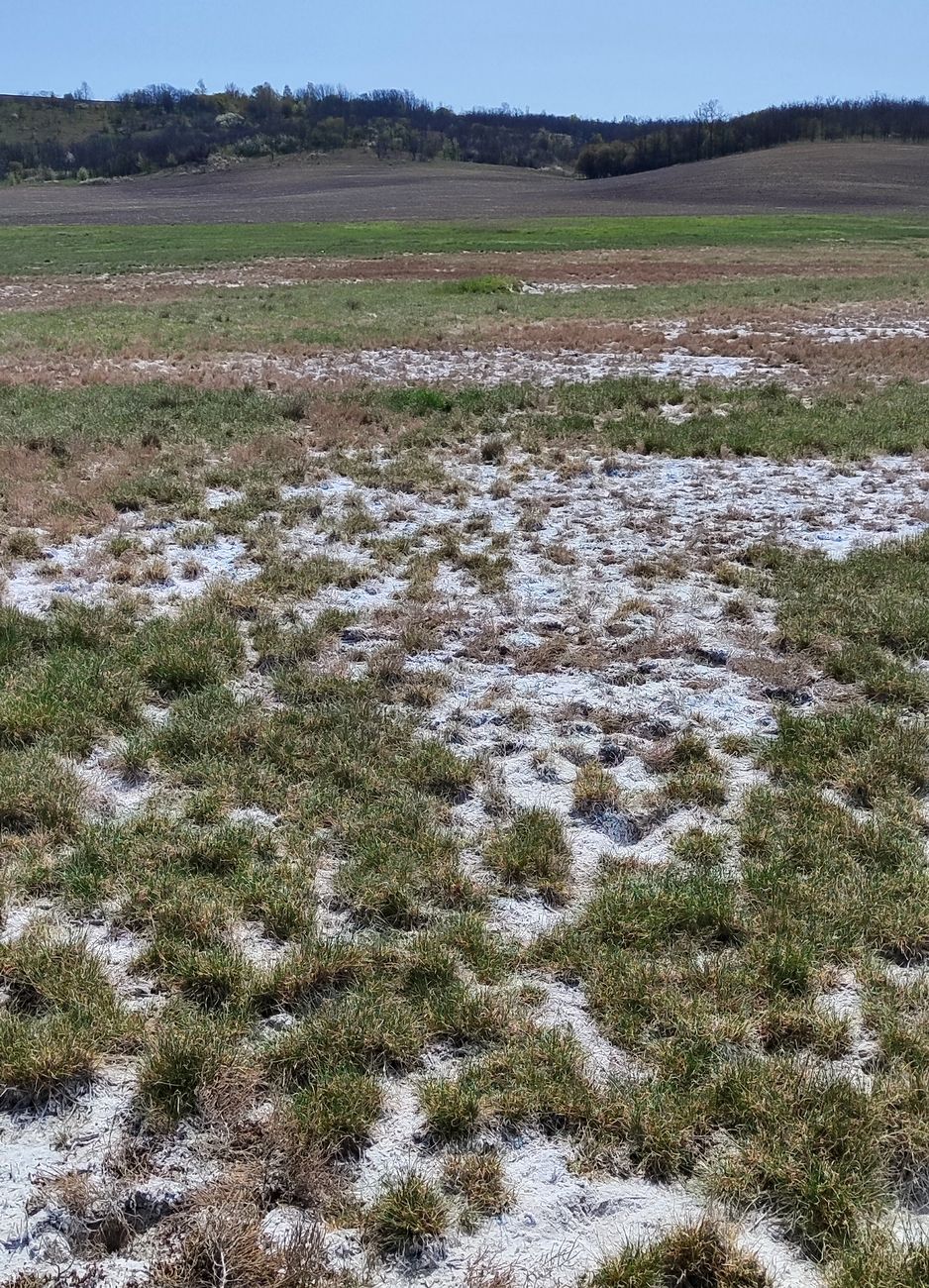 Жавгур, image of landscape/habitat.