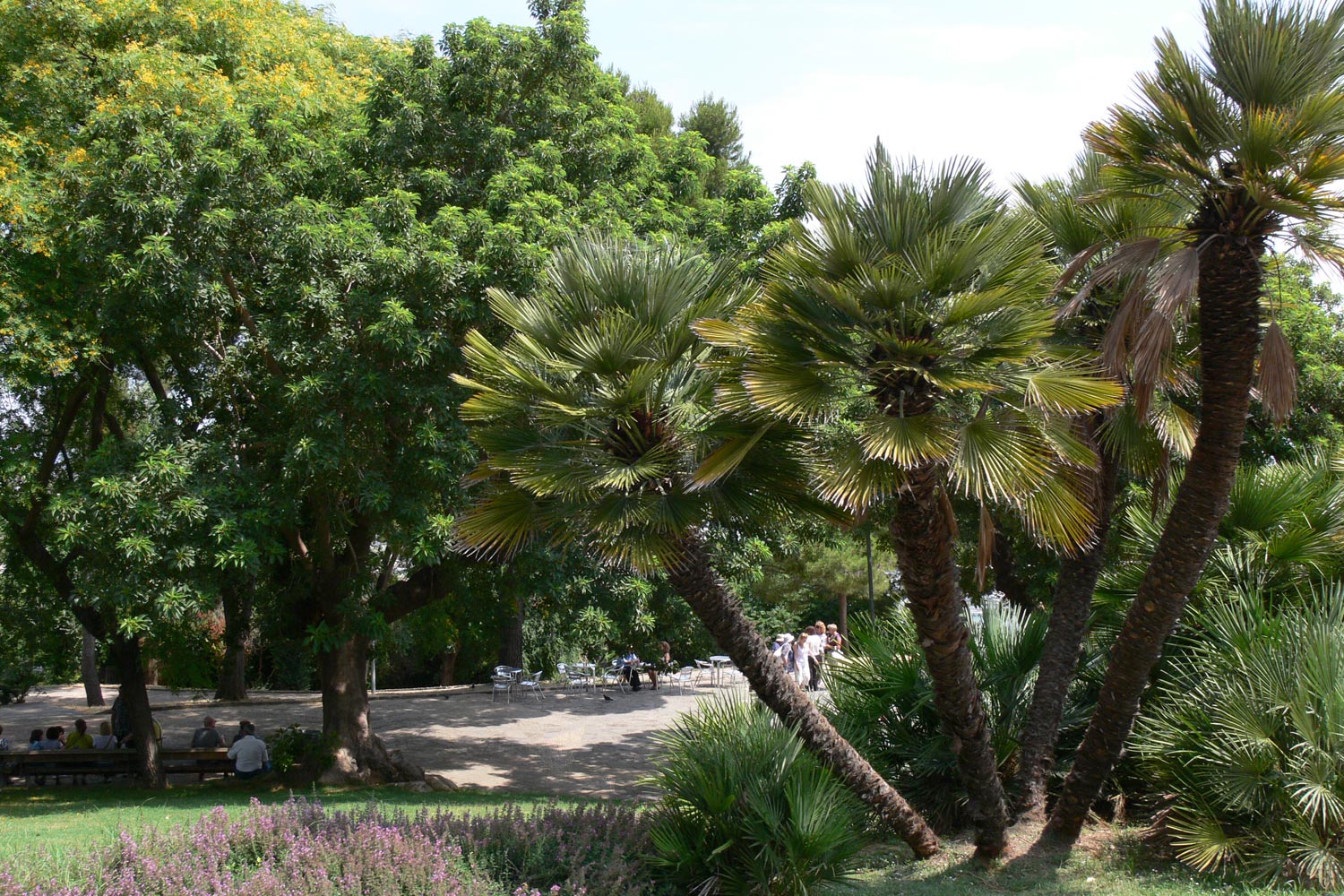 Барселона, image of landscape/habitat.